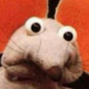 Meet your Posher, Leily